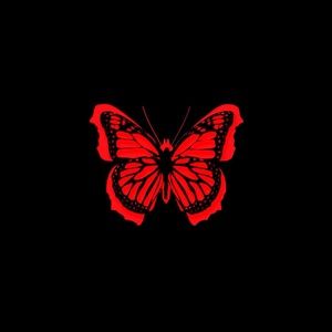 Meet your Posher, Diego